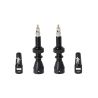 Valve tubeless 40mm paire noir