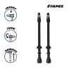 Valve tubeless 100mm paire noir