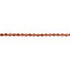 Paire de lacets XTENEX 75 cm ORIGINAL