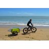 Remorque BO Beach