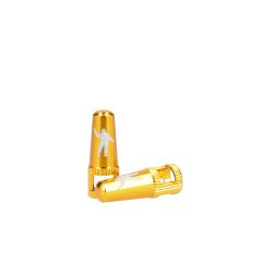 Bouchon de valve paire  - gold