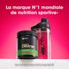 Créatine Micronisée en poudre Cocktail de Fruits 247g OPTIMUM NUTRITION