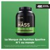 Gainer Protéiné Serious Mass Chocolat 2,73kg OPTIMUM NUTRITION