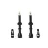 Valve tubeless paire noir