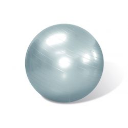 Ballon de gym 66 cm + pompe