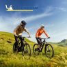 Lot de deux pneus VTT WILD ENDURO