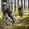Lot de deux pneus VTT WILD ENDURO