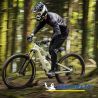 Lot de deux pneus VTT WILD ENDURO