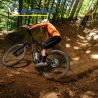 Lot de deux pneus VTT WILD ENDURO