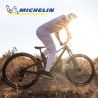 Lot de deux pneus VTT WILD ENDURO