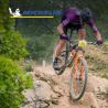Lot de deux pneus VTT WILD XC