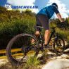 Lot de deux pneus VTT WILD AM