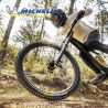 Lot de deux pneus VTT DH