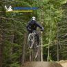 Lot de deux pneus VTT DH