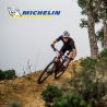 Lot de deux pneus VTT FORCE