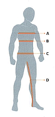 guide des tailles textile vélo Nalini