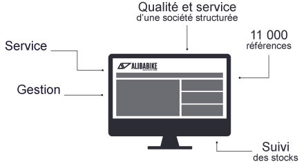 Notre professionnalisme chez Alibabike